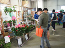 会場風景