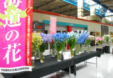 「北海道の花」