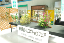 中央通路展示の様子4