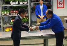 セリの様子