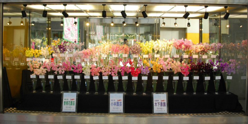 スイートピー Flower Auction Japan