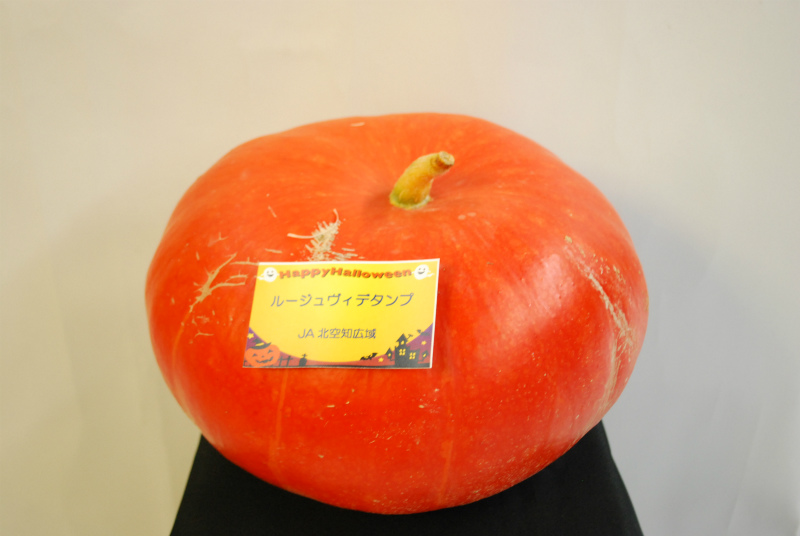 JA北空知広域連のカボチャHALLOWEEN ☆☆Trick or Treat☆☆INFORMATION