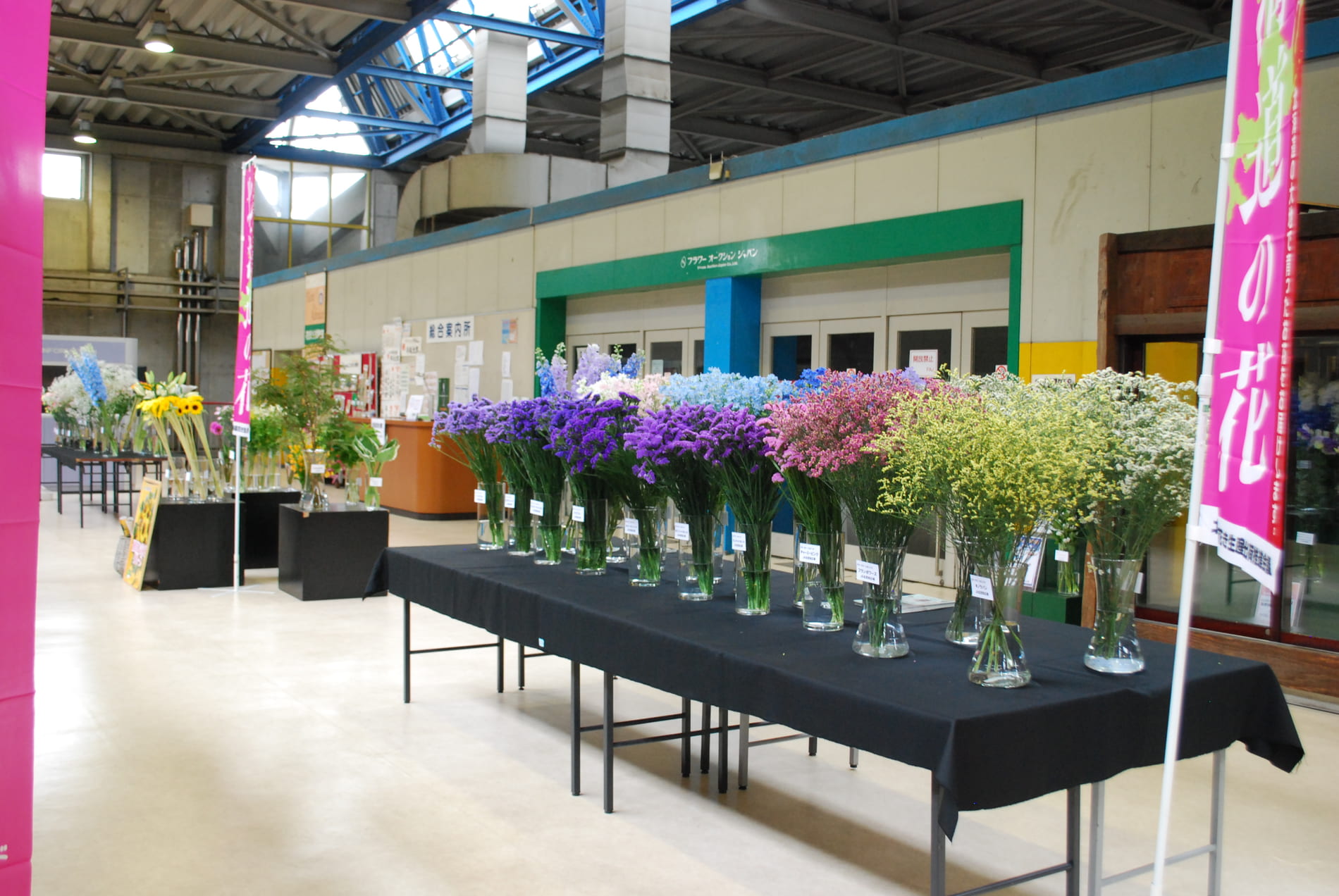 北海道の花 中央通路展示を行いました Flower Auction Japan