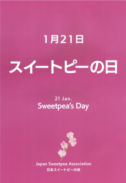 スイートピーの日 中央通路展示を行いました Flower Auction Japan