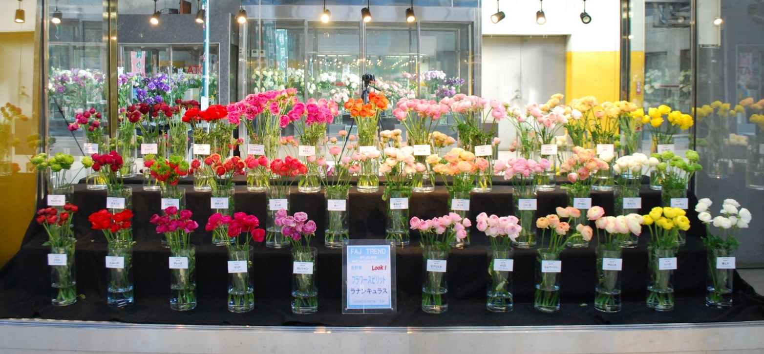 フラワースピリットのラナンキュラス | Flower Auction Japan