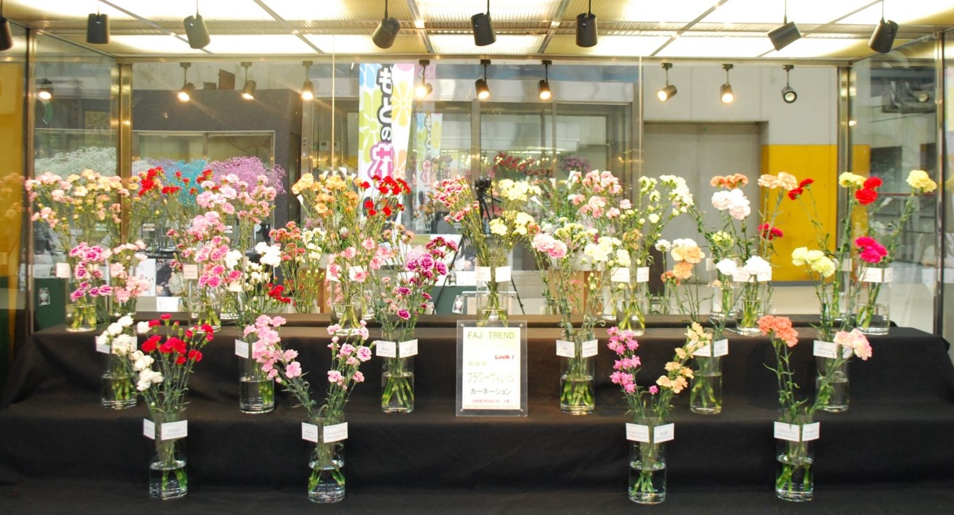 フラワーヴィレッジのカーネーション Flower Auction Japan