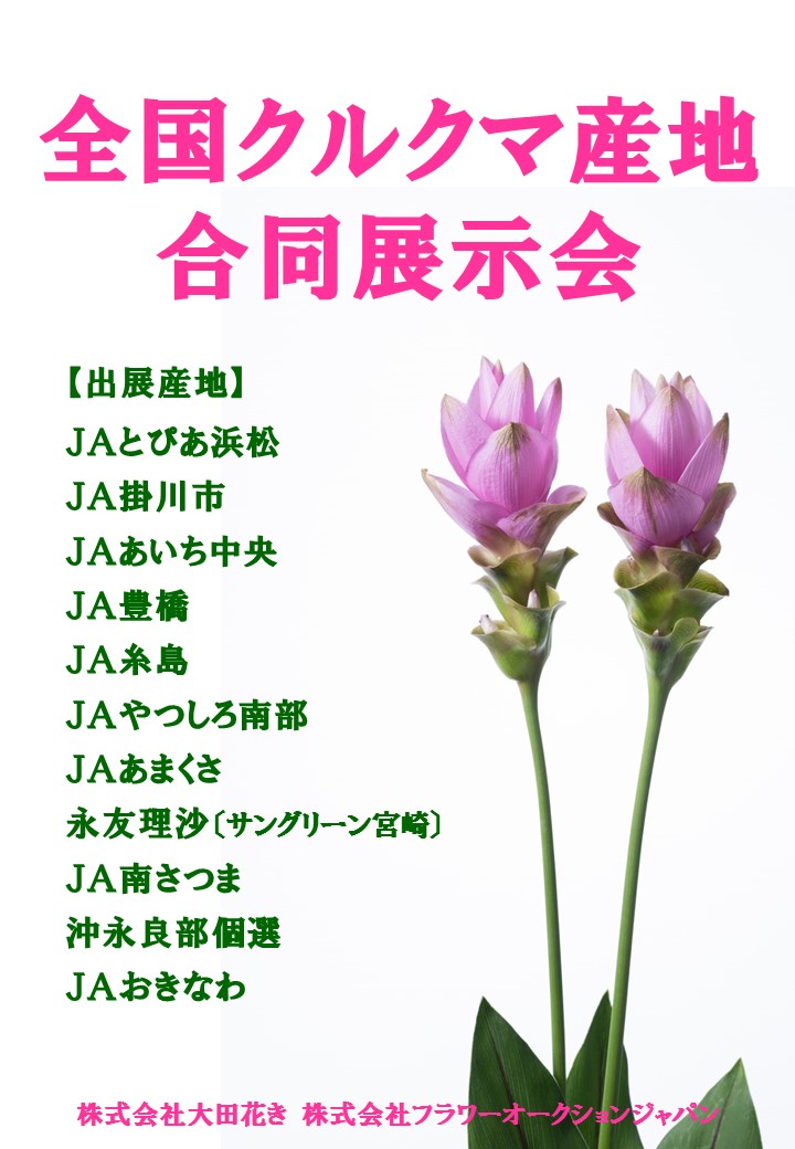 全国クルクマ産地合同展示会 中央通路展示を行いました Flower Auction Japan