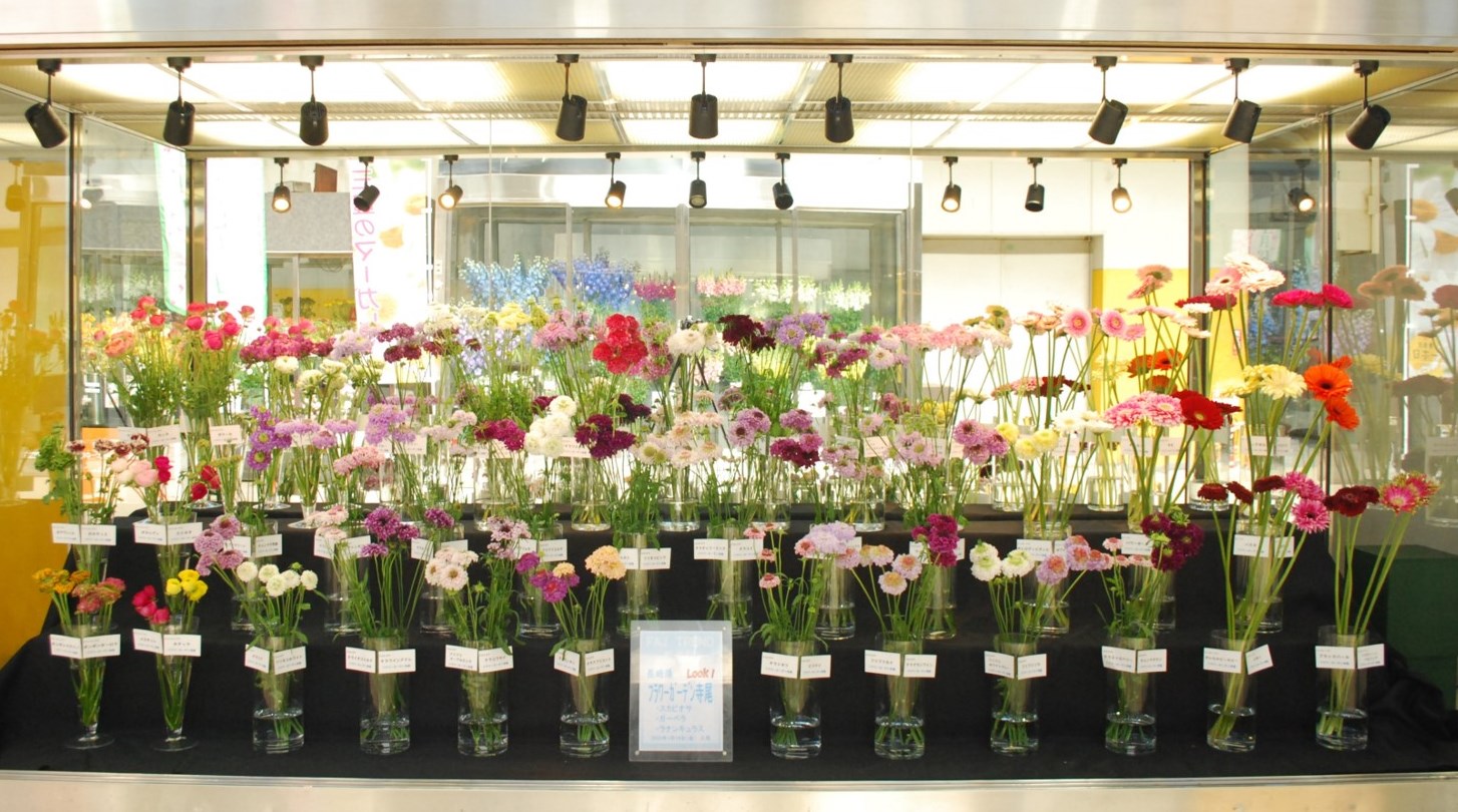 フラワーガーデン寺尾のスカビオサ他 Flower Auction Japan