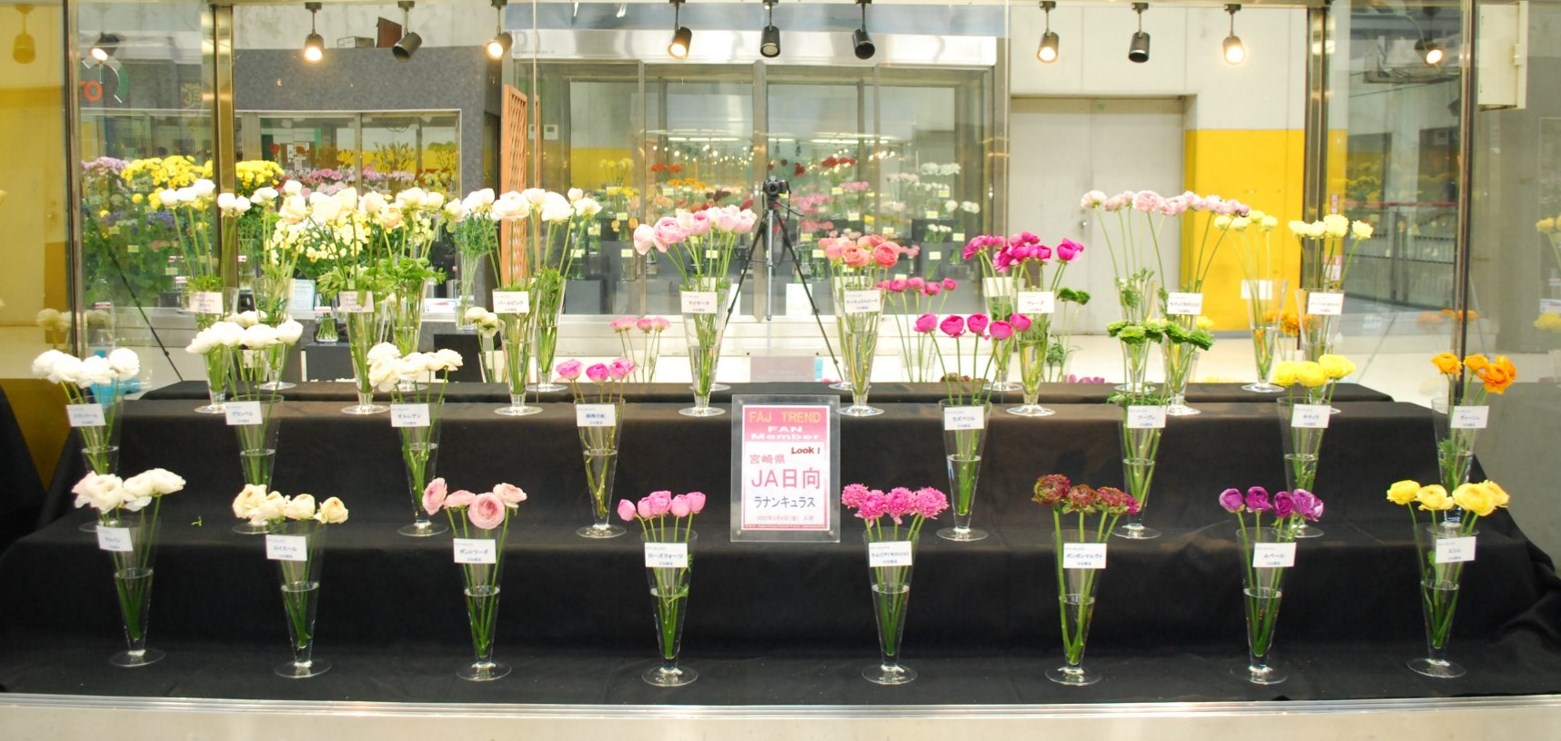 ｊａ日向のラナンキュラス Flower Auction Japan