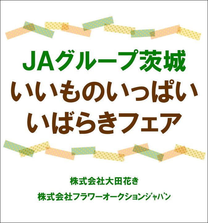 菊花石　★春の祭典フェア価格 2024.10.13(日) 感謝の打ち上げ花火2024 | KEN EBISAWA OFFICIAL