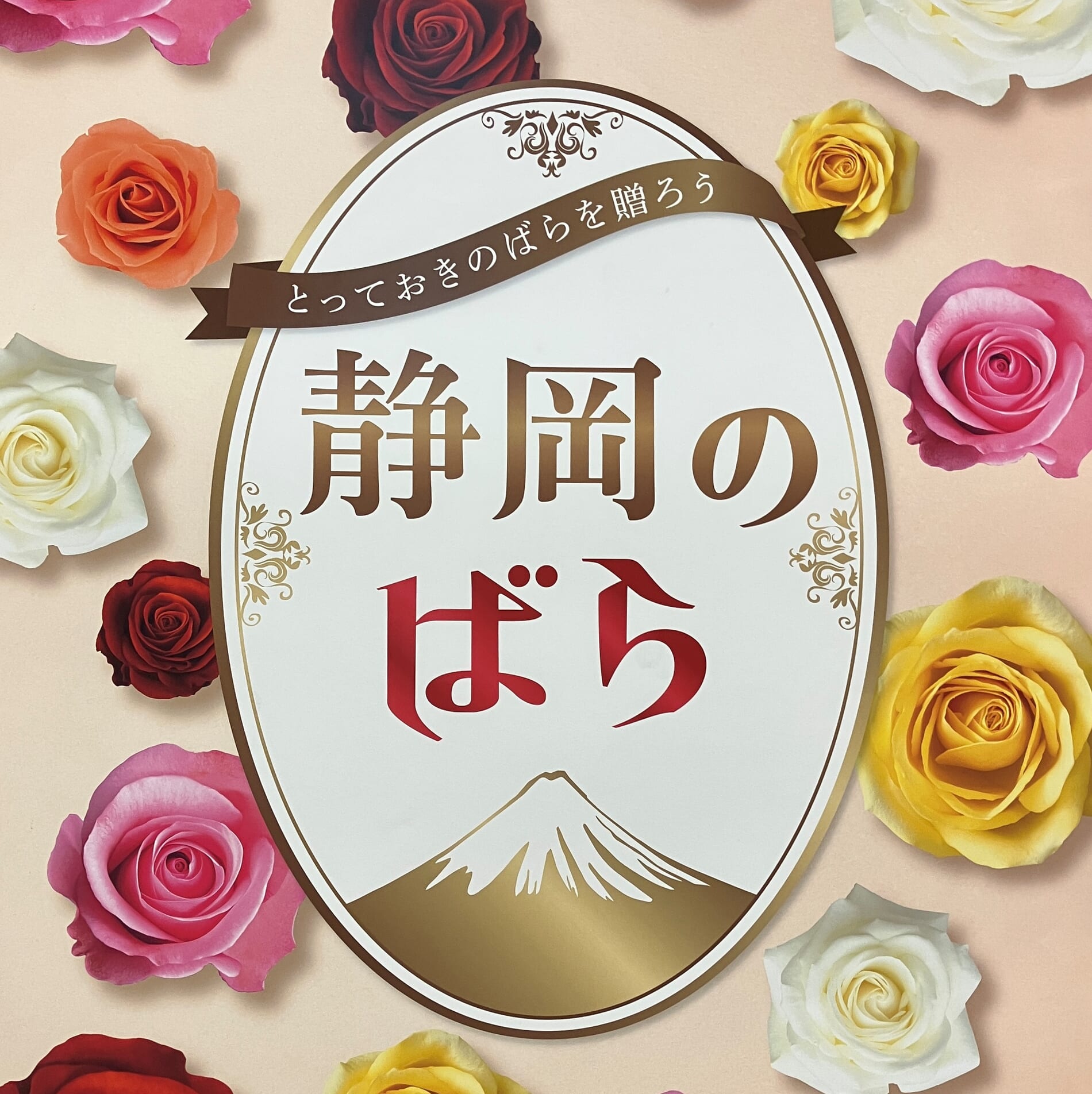 大田市場に集結！！静岡県産ばらフェア | Flower Auction Japan