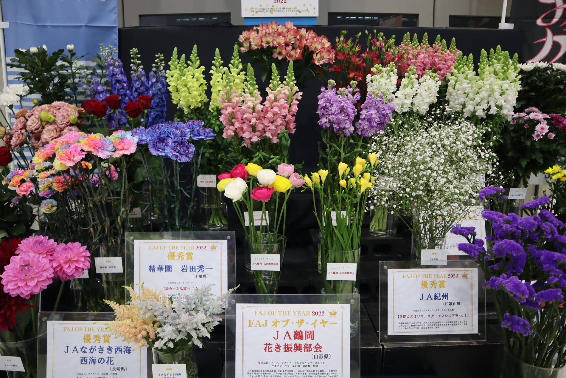 FAJ OF THE YEAR 2022 | Flower Auction Japan