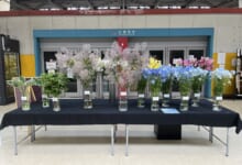 2024年7月「北海道の花」
