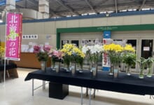 2024年7月「北海道の花」