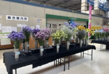 2024年7月「北海道の花」