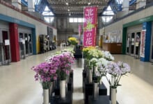 2024年7月「北海道の花」