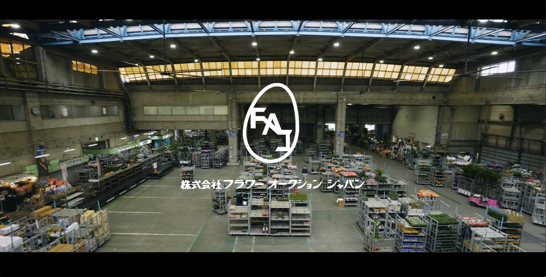 採用情報 | Flower Auction Japan | フラワーオークションジャパン株式会社