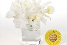 金賞 K-1 カトレヤ　ハワイアンウェディングソング 山野井　喜仁 茨城県