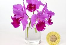 金賞 L-9 Ｒｌｃ．エミーワカスギ　「キミヨ」 山野井　喜仁 茨城県